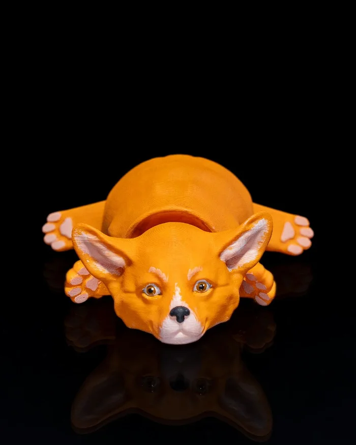 短尾柯基犬