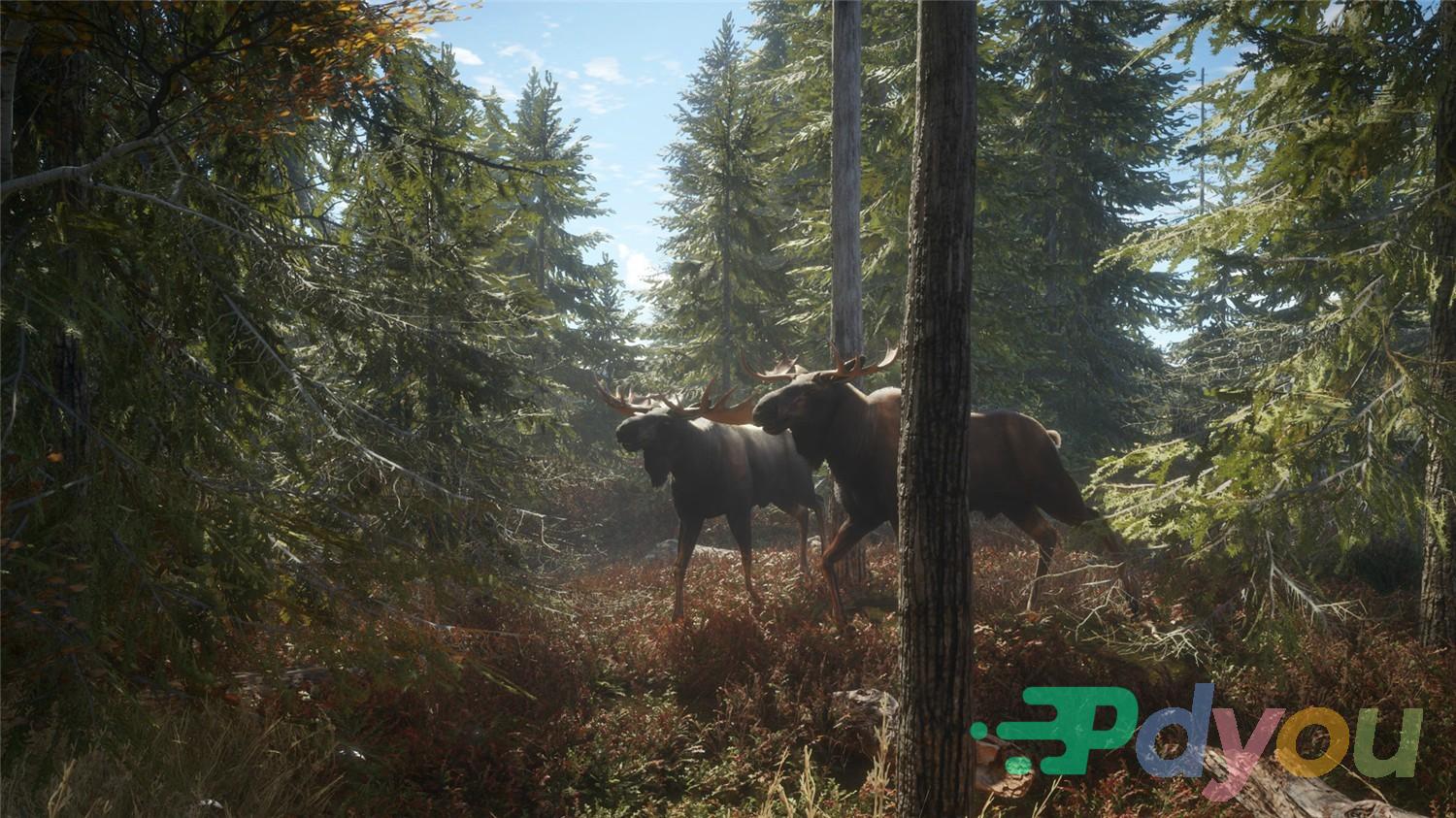 猎人：荒野的召唤/theHunter: Call of the Wild-美好生活&吃喝玩乐购