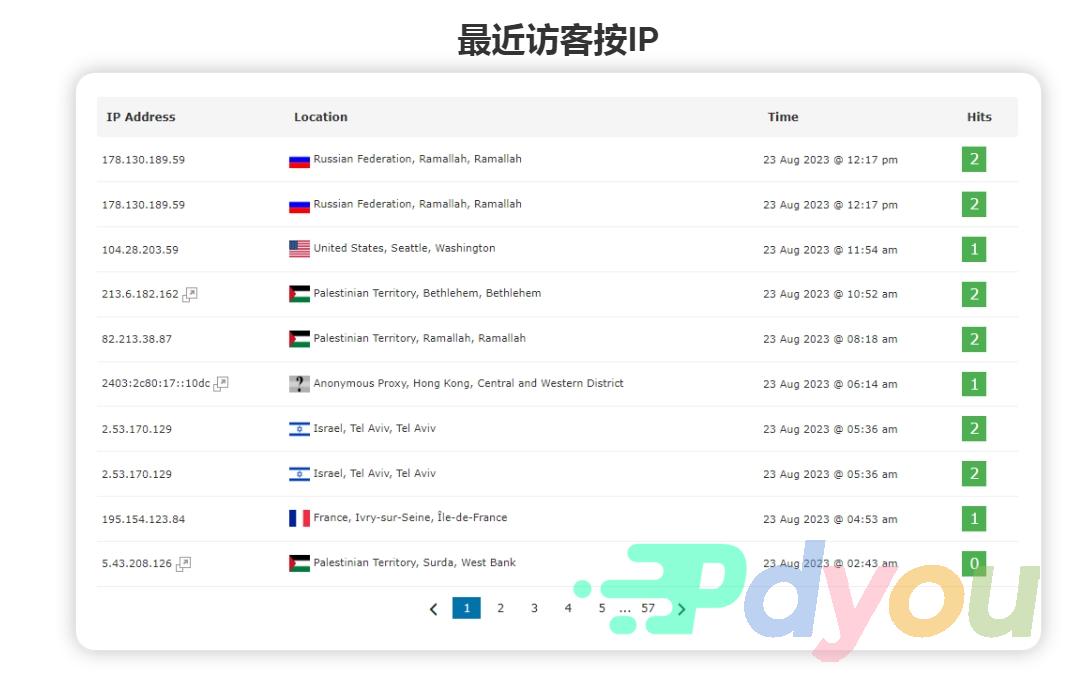 Visitor Traffic Real Time Statistics Pro 实时数据 在线更新