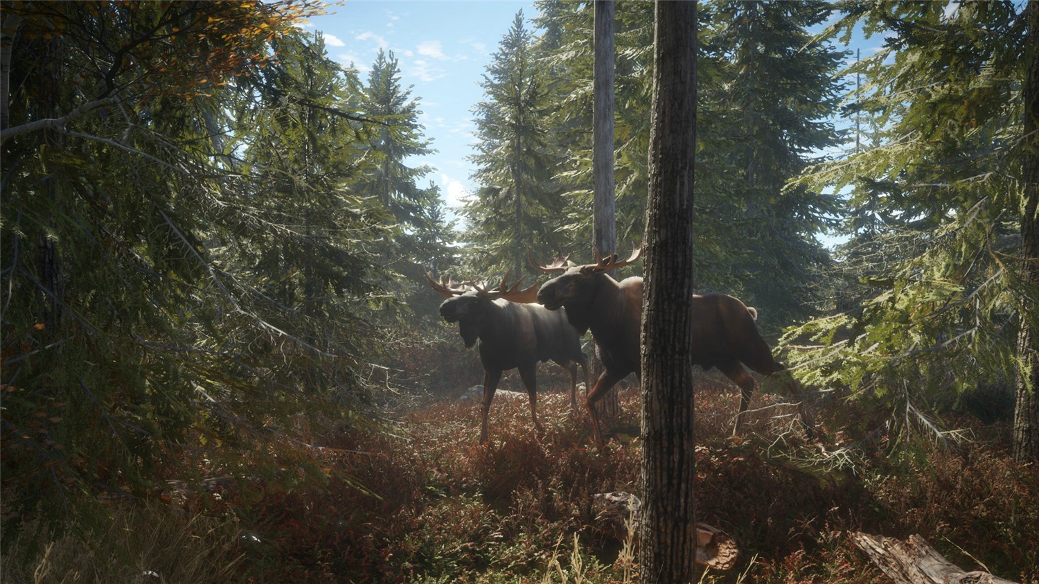 猎人:荒野的召唤/theHunter: Call of the Wild
