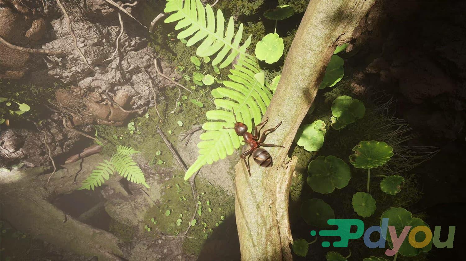 蚂蚁帝国/Empire of the Ants