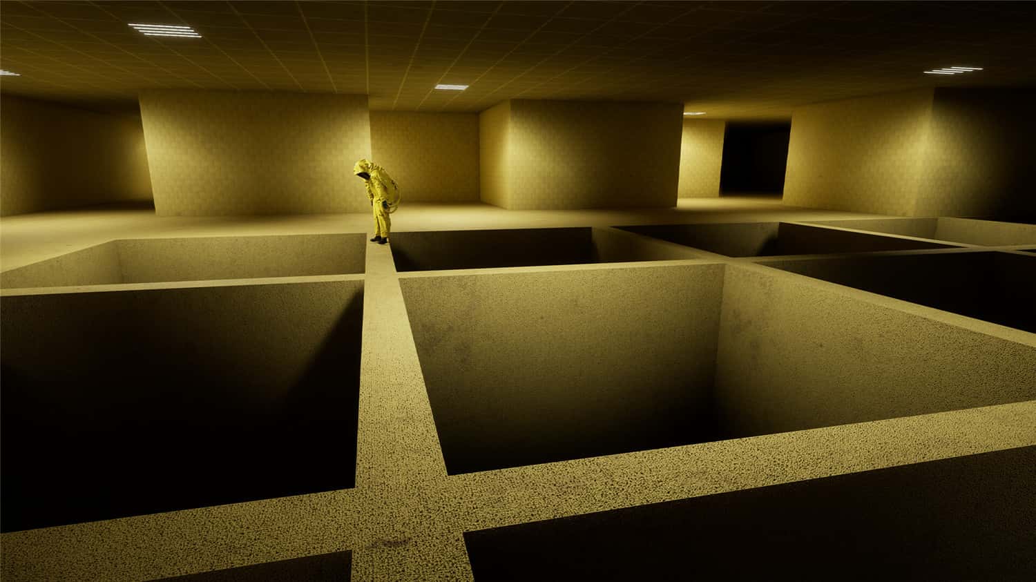 后室:一起逃脱/Backrooms: Escape Together/支持网络联机
