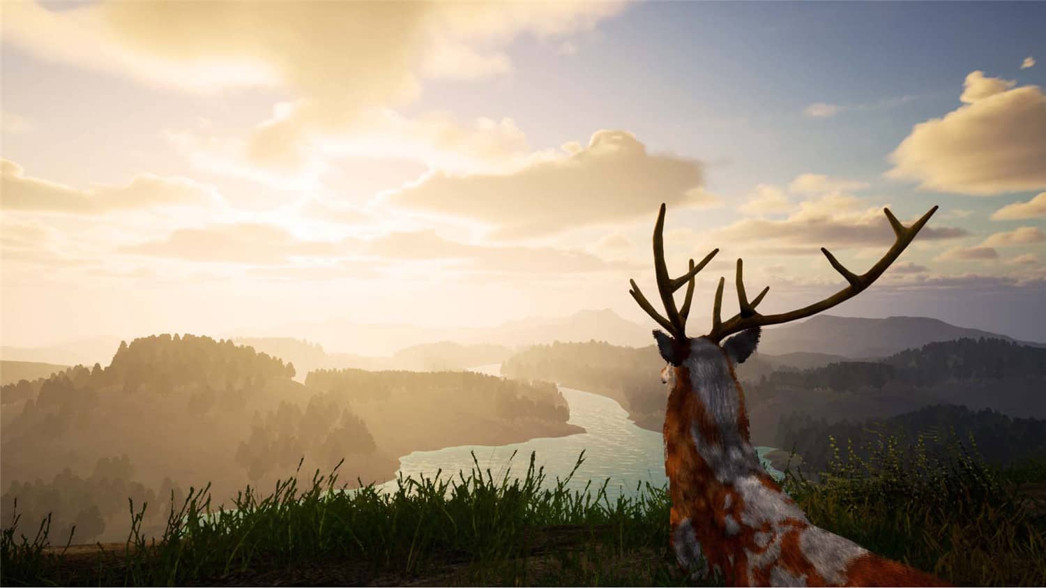 鹿之旅/Deer Journey-美好生活&吃喝玩乐购