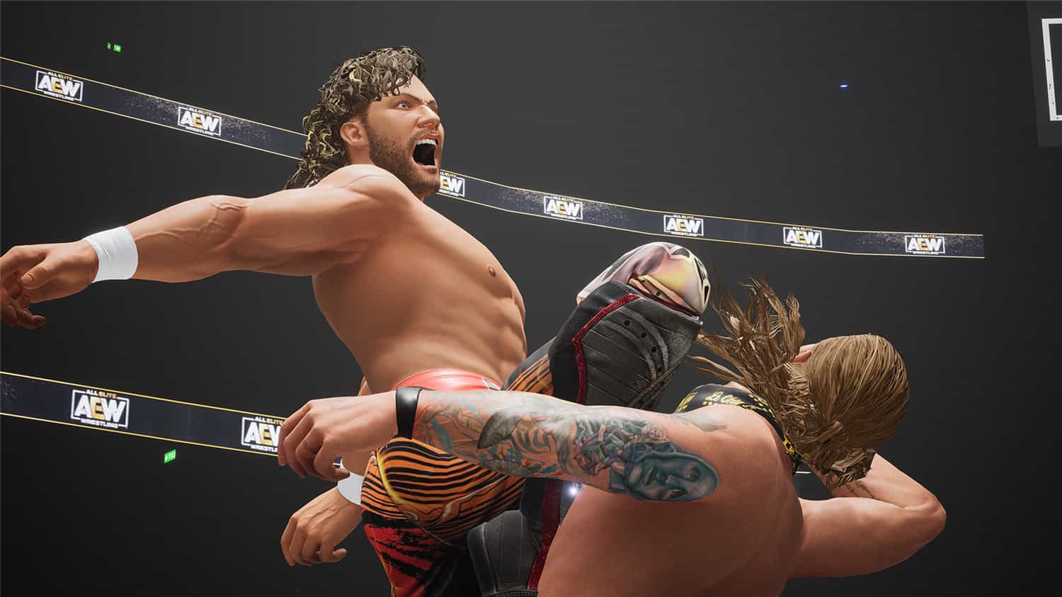 全精英摔角:永远的战斗/AEW: Fight Forever