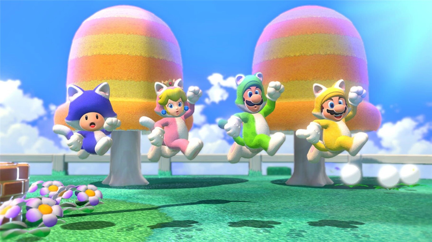 超级马里奥3D世界+狂怒世界/Super Mario 3D World + Bowser’s Fury-美好生活&吃喝玩乐购