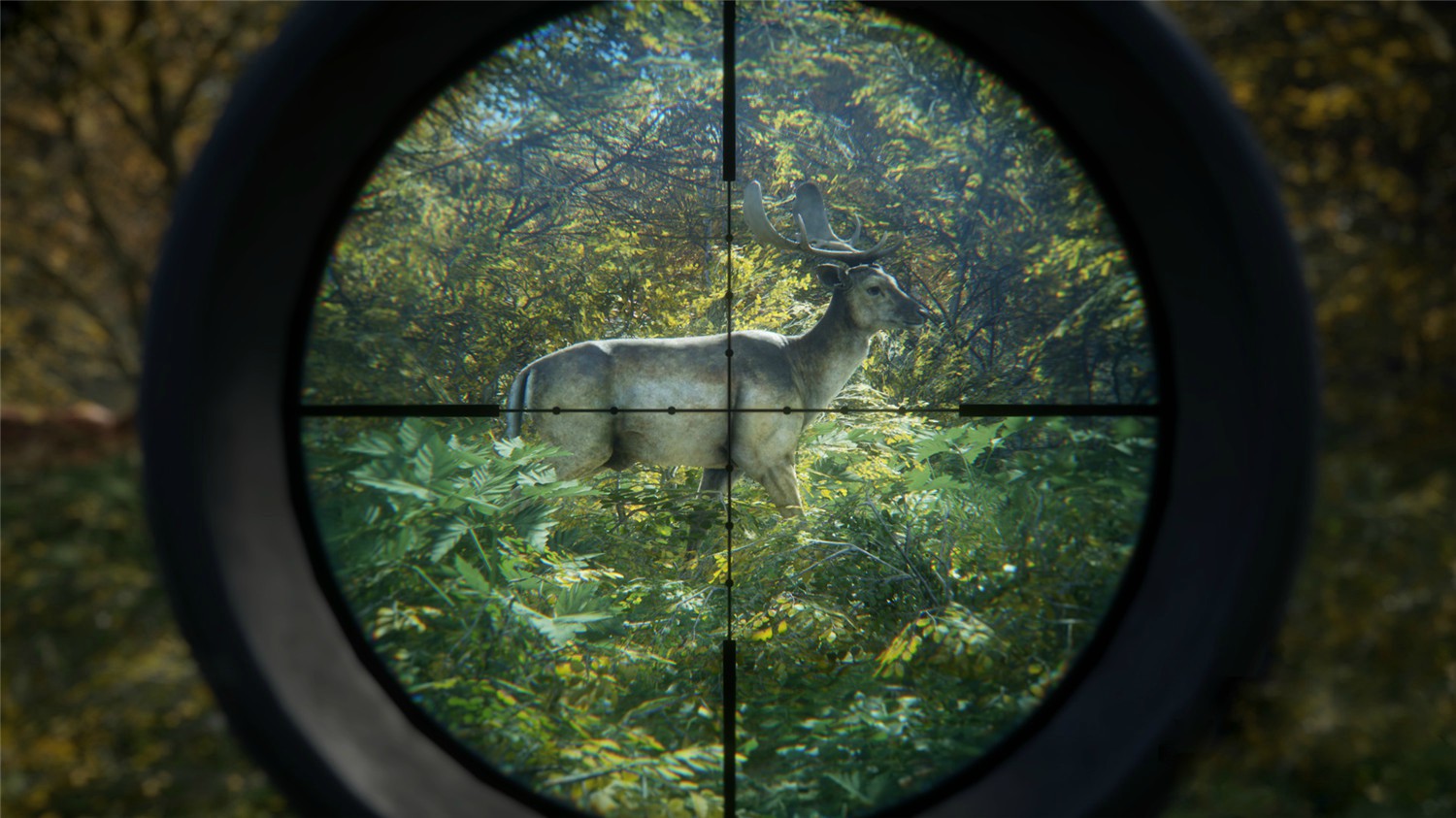 猎人:荒野的召唤/theHunter: Call of the Wild