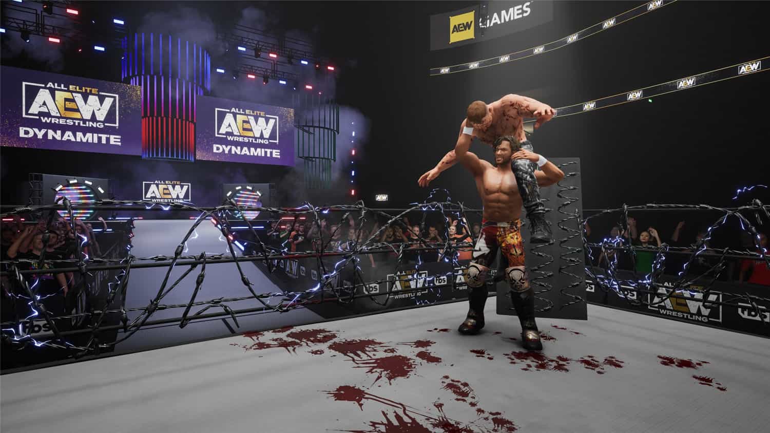 全精英摔角:永远的战斗/AEW: Fight Forever
